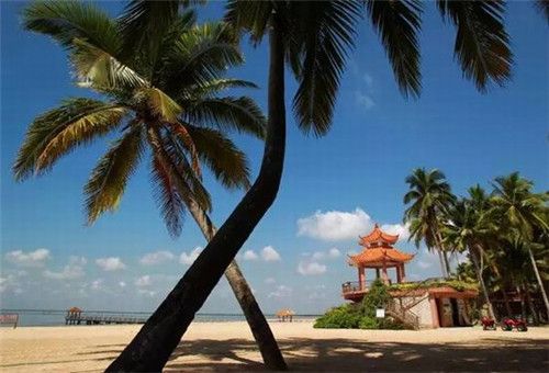 品品鸭血粉丝加盟优势大吗，加盟品品鸭血粉丝有哪些优势