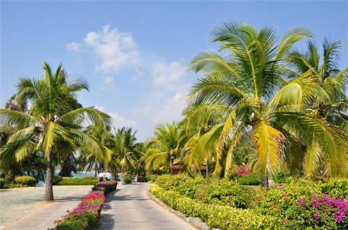 小吃店创业怎么开连锁，怎样将小吃店开成连锁店