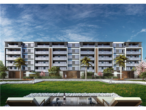 鲜芋仙一年能赚多少钱