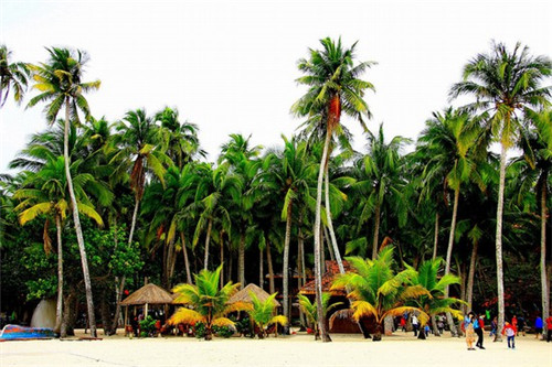 泰州茶食糕点加盟费多少