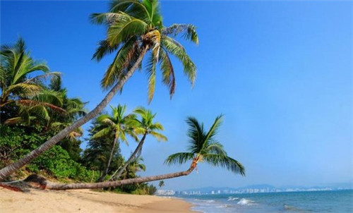 swich能刷抖音吗（swich可以玩手游吗）