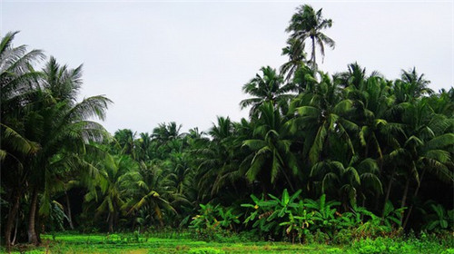 疫情期间住宿怎么装修好（疫情期间住宿需要注意什么）